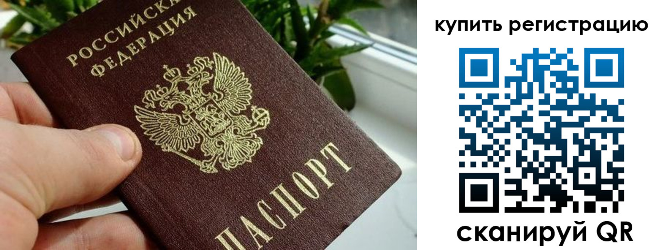 прописка гарантия в Лермонтове